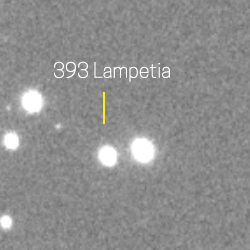 393 - Lampetia