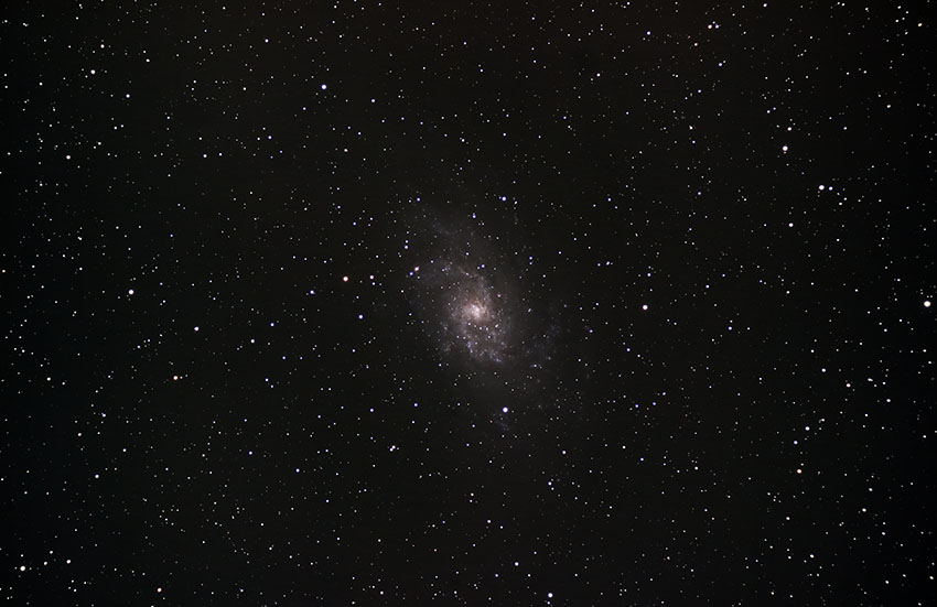 M33