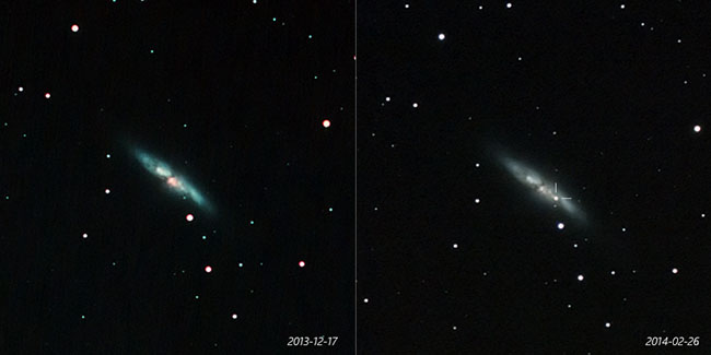 Supernova in M82