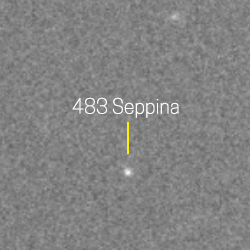 483 - Seppina