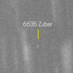 6635 - Zuber