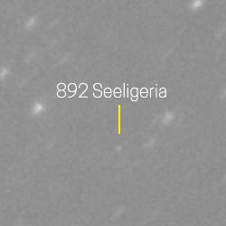 892 - Seeligeria